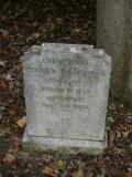 image of grave number 199420